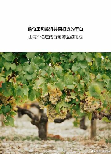 甄慧选酒